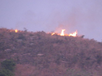 08 Feu De Brousse
